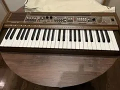 2026年最新】カシオトーン701の人気アイテム - メルカリ