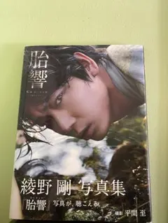 2026年最新】胎響 綾野剛の人気アイテム - メルカリ