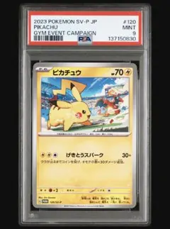 2026年最新】ポケパークのピカチュウ psa9の人気アイテム - メルカリ