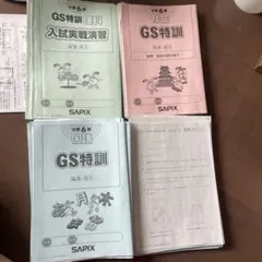 2026年最新】gs特訓の人気アイテム - メルカリ