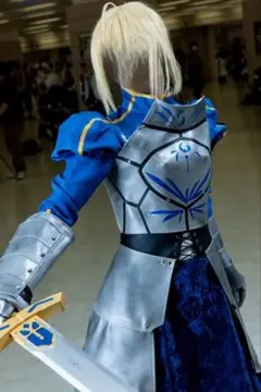 2026年最新】セイバー 衣装 鎧の人気アイテム - メルカリ