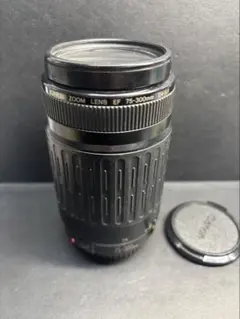 2026年最新】Canon LENS EF 75-300mm 1:4-5.6の人気アイテム - メルカリ