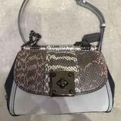 2026年最新】コーチパイソン バッグの人気アイテム - メルカリ