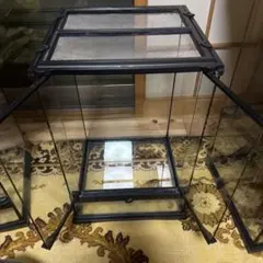 2026年最新】温室 ガラスケースの人気アイテム - メルカリ