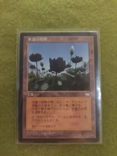 2026年最新】水蓮の谷間の人気アイテム - メルカリ