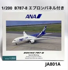 2026年最新】ana 787 1/200の人気アイテム - メルカリ