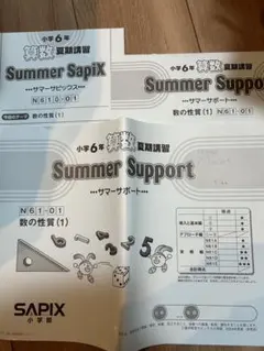 2026年最新】サマーサピックスの人気アイテム - メルカリ
