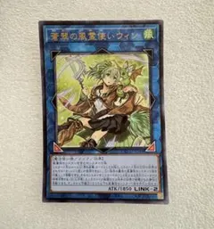 2026年最新】風霊使いウィンの人気アイテム - メルカリ