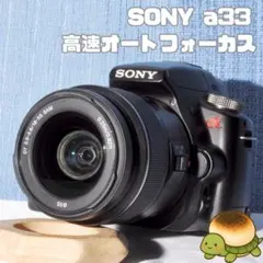 2026年最新】sony α57の人気アイテム - メルカリ