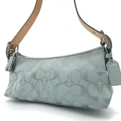 2026年最新】COACH 6371の人気アイテム - メルカリ