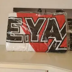 2026年最新】矢沢永吉 シルエットスペシャルビーチタオルの人気