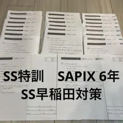 2026年最新】SS特訓の人気アイテム - メルカリ