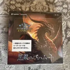 2026年最新】黒銀のバハムート box 初版の人気アイテム - メルカリ