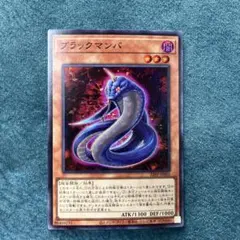 2026年最新】black mamba トレカの人気アイテム - メルカリ