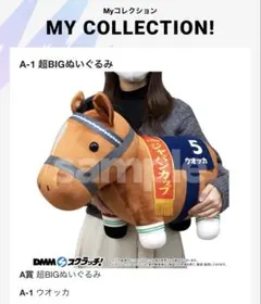 2026年最新】サラブレッドコレクション dmm a賞の人気アイテム - メルカリ