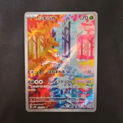 2026年最新】シキジカ arの人気アイテム - メルカリ