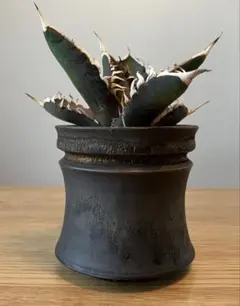 2026年最新】raw_life_factoryの人気アイテム - メルカリ