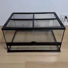 2026年最新】温室 ガラスケースの人気アイテム - メルカリ