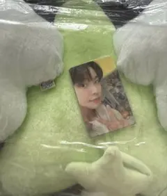 2026年最新】Nct wish wichu クッションの人気アイテム - メルカリ