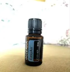 2026年最新】ドテラ イージーエアの人気アイテム - メルカリ