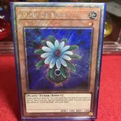 2026年最新】グローアップバルブ 英語の人気アイテム - メルカリ