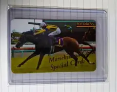 2026年最新】まねき馬レインボーの人気アイテム - メルカリ