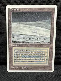 2026年最新】デュアルランドの人気アイテム - メルカリ