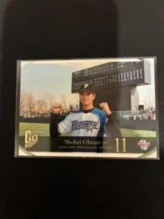 2026年最新】BBM 大谷翔平 2016の人気アイテム - メルカリ