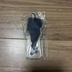 2026年最新】アリス九號 アクスタの人気アイテム - メルカリ