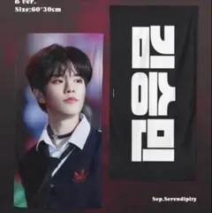 2026年最新】straykids スンミン スローガンの人気アイテム - メルカリ