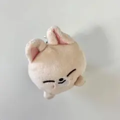 2026年最新】ミニバッグチャーム skzooの人気アイテム - メルカリ