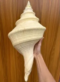 2026年最新】アラフラオオニシの人気アイテム - メルカリ