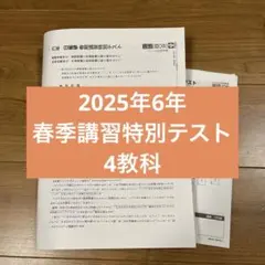 2026年最新】日能研育成テストの人気アイテム - メルカリ