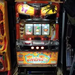 2026年最新】南国育ち実機の人気アイテム - メルカリ