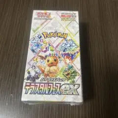 2026年最新】シュリンク テラスタルフェスの人気アイテム - メルカリ