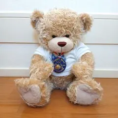2026年最新】ビルドアベア テディベアの人気アイテム - メルカリ