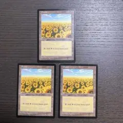 2026年最新】mtg ひまわりの人気アイテム - メルカリ