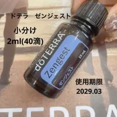 2026年最新】ヤローポムの人気アイテム - メルカリ