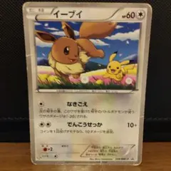 2026年最新】セブン イーブイの人気アイテム - メルカリ