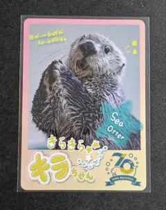 2026年最新】鳥羽水族館コレクションカードの人気アイテム - メルカリ