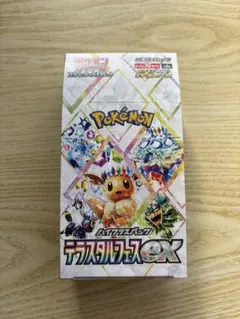 2026年最新】テラスタルフェスEXの人気アイテム - メルカリ