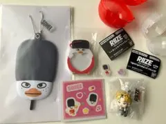 2026年最新】RIIZEつまんでつなげてますこっとでらっくすの人気