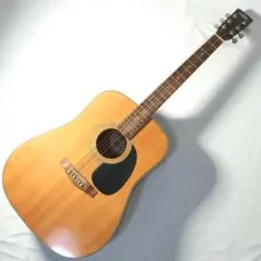 2026年最新】Aria 12弦ギターの人気アイテム - メルカリ