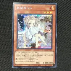 2026年最新】クォーターセンチュリー うららの人気アイテム - メルカリ