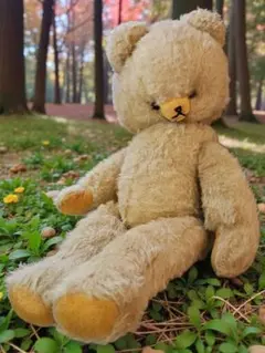 2026年最新】ddrベアの人気アイテム - メルカリ