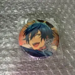 2026年最新】漣ジュン 缶バッジ アルバムの人気アイテム - メルカリ