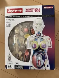 2026年最新】supreme シュプリームmale anatomyの人気アイテム - メルカリ