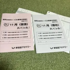 2026年最新】NN土曜特訓の人気アイテム - メルカリ