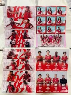 2026年最新】千葉ジェッツふなばしの人気アイテム - メルカリ