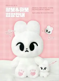 2026年最新】nct ぬいぐるみ 40cmの人気アイテム - メルカリ